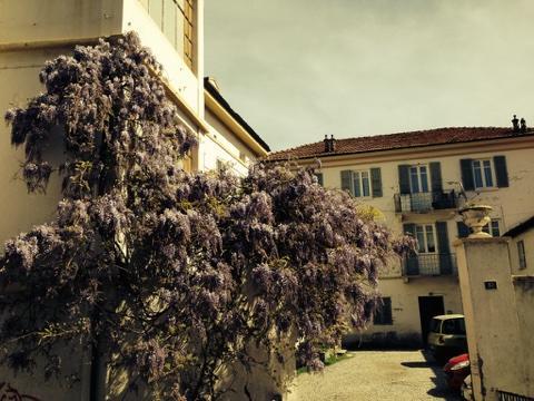 La Finestra Sul Cortile Appartement Aosta Buitenkant foto